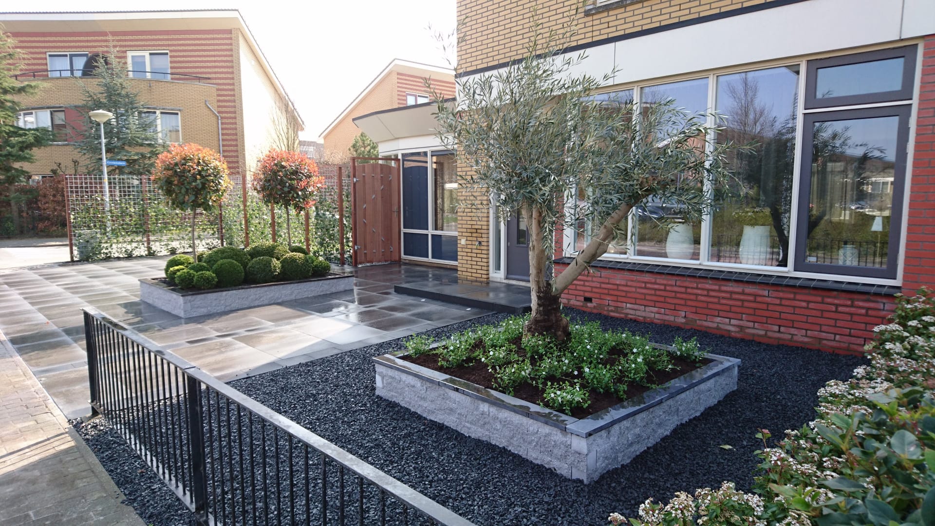 Moderne voortuin