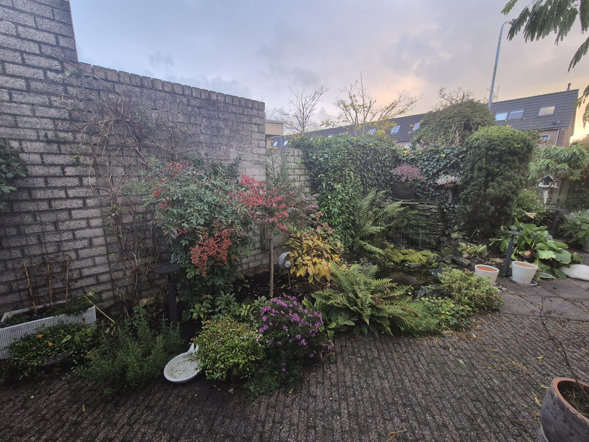Tuin renovatie — voor