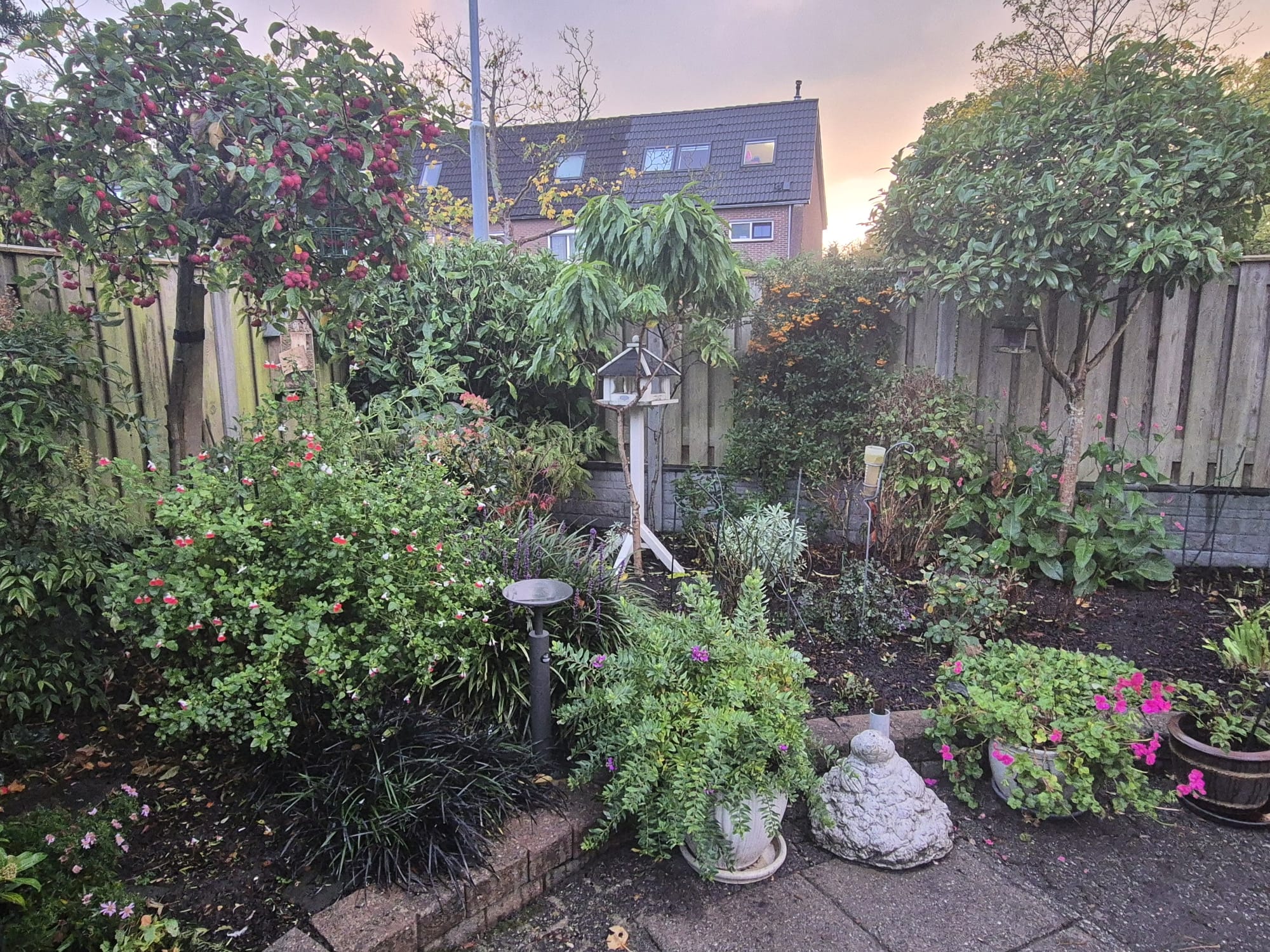 Tuinrenovatie, vóór de werkzaamheden