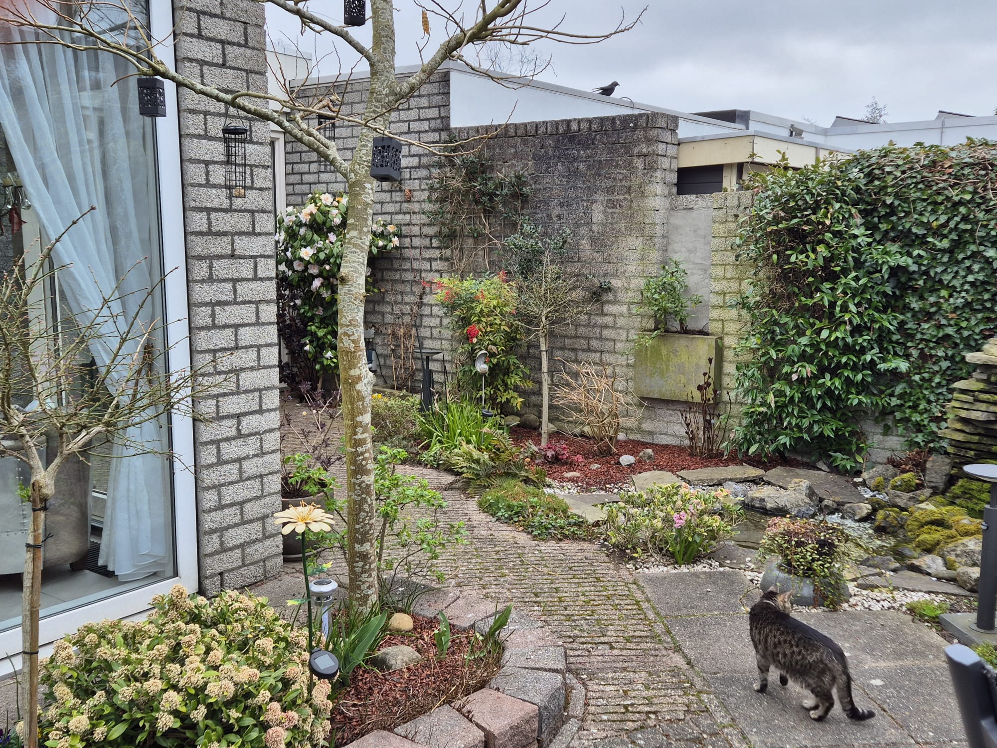 Tuinrenovatie, vóór de werkzaamheden