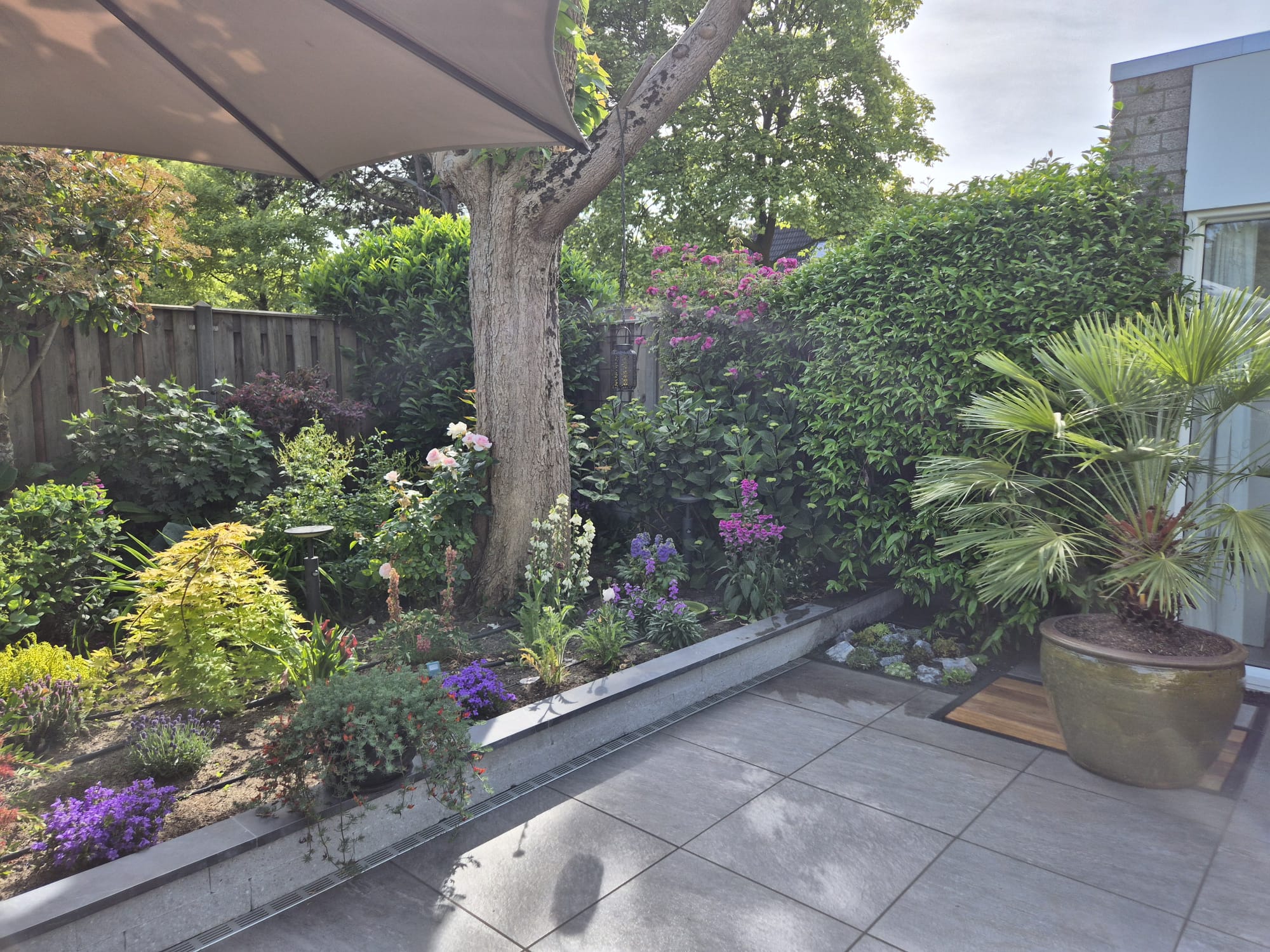 Tuinrenovatie, na de werkzaamheden