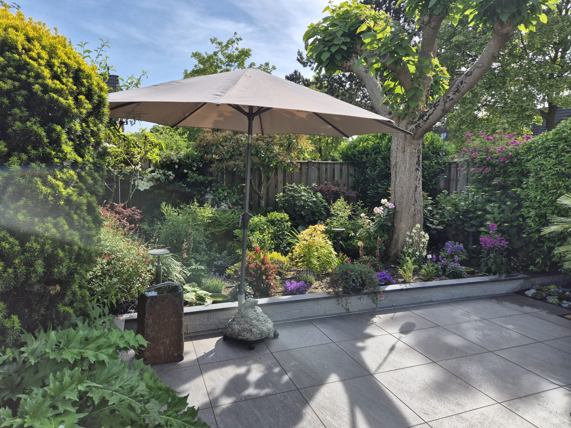 Tuin renovatie